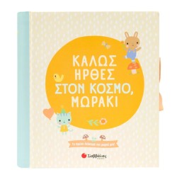 ΚΑΛΩΣ ΗΡΘΕΣ ΣΤΟΝ...