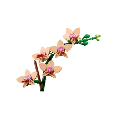 LEGO BOTANICALS MINI ORCHID(10343)