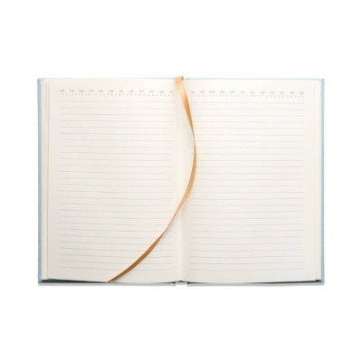 ΣΗΜΕΙΩΜΑΤΑΡΙΟ DESIGNWORKS INK Α5 160ΣΕΛ.ΡΙΓΕ SUEDETTE HARDCOVER RADIANT AVOCADO
