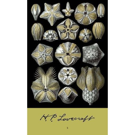 LOVECRAFT - Ο,ΤΙ ΨΙΘΥΡΙΖΖΕΙ ΤΟ ΣΚΟΤΑΔΙ -  Ο ΑΠΑΙΣΙΟΣ ΓΕΡΟΣ